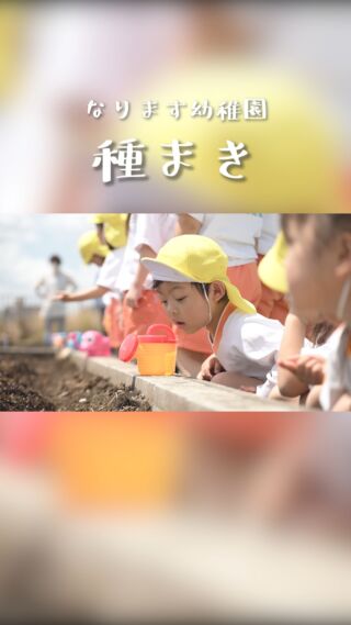 なります幼稚園