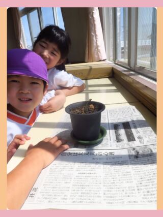 なります幼稚園